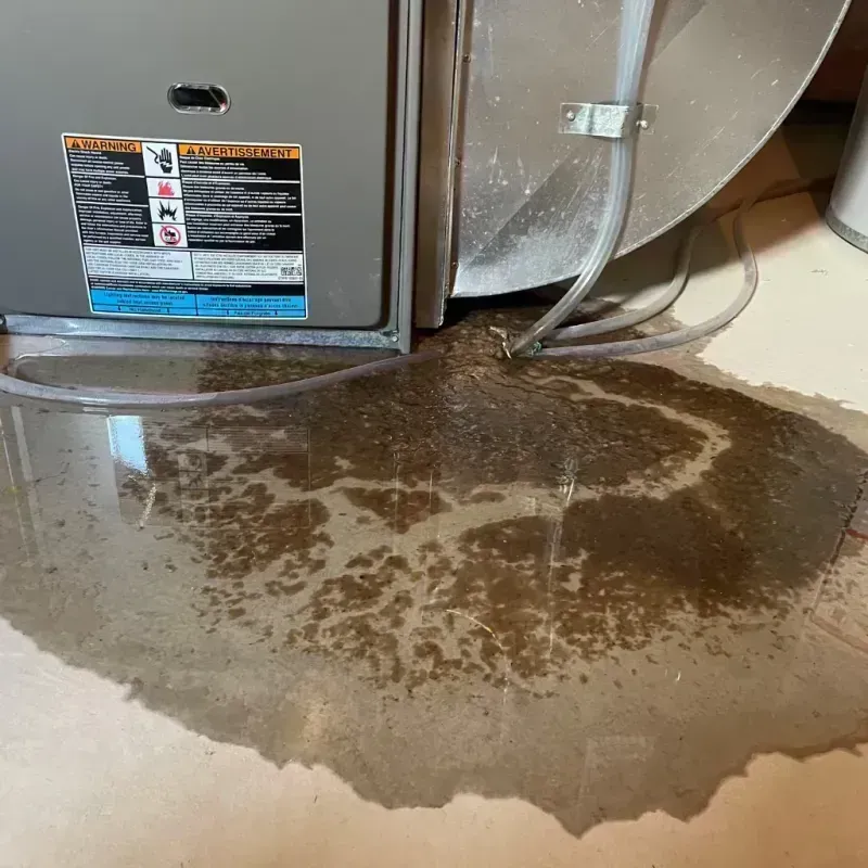 Appliance Leak Cleanup in MacArthur, WV